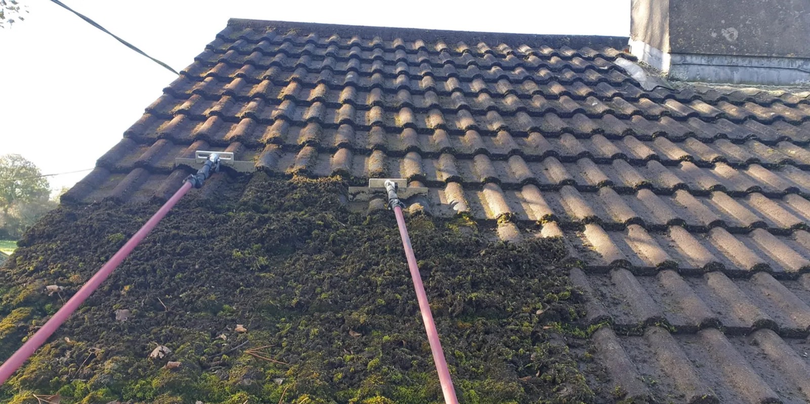 Lifting thick moss off a tiled roof in County Meath with a scraper on a telescopic pole — no pressure washing, no damage to the tiles