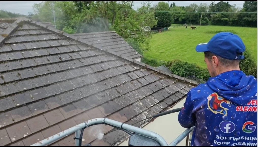 Softwashing a moss-covered tiled roof in County Meath — low-pressure, eco-friendly roof clean in progress